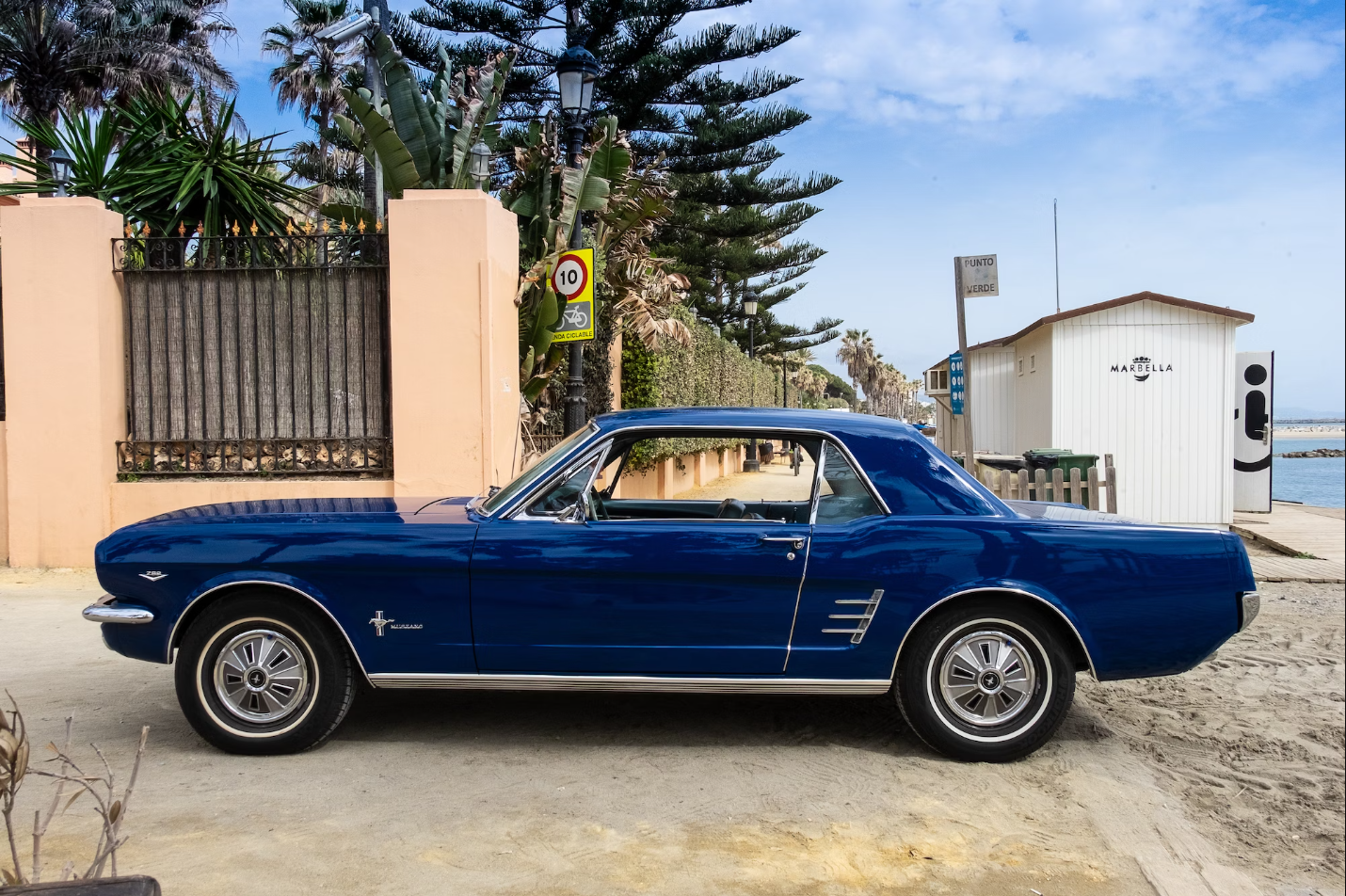 1966 Ford Mustang 289