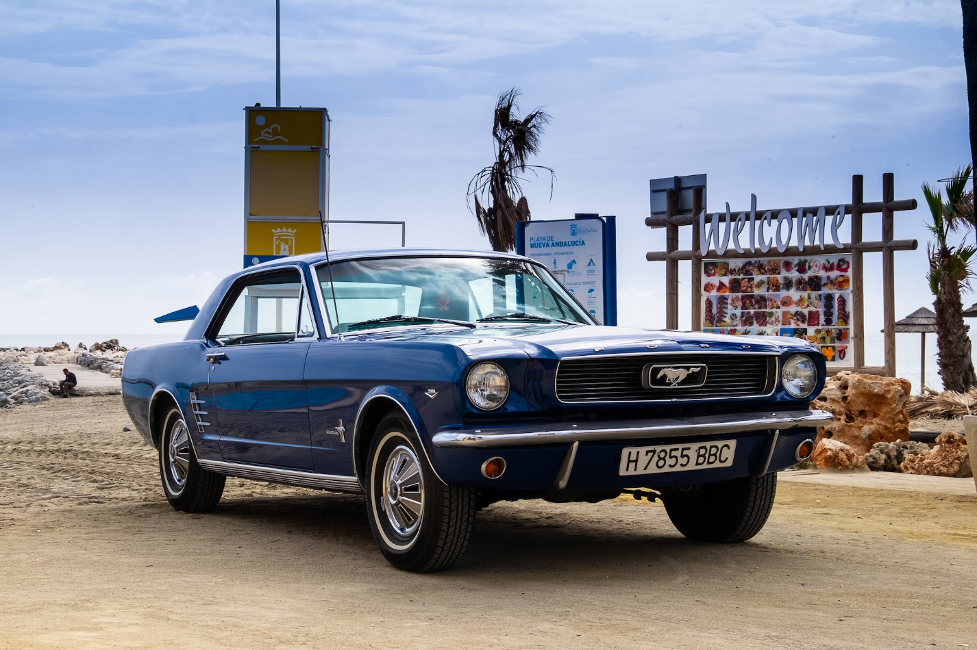 1966 Ford Mustang 289
