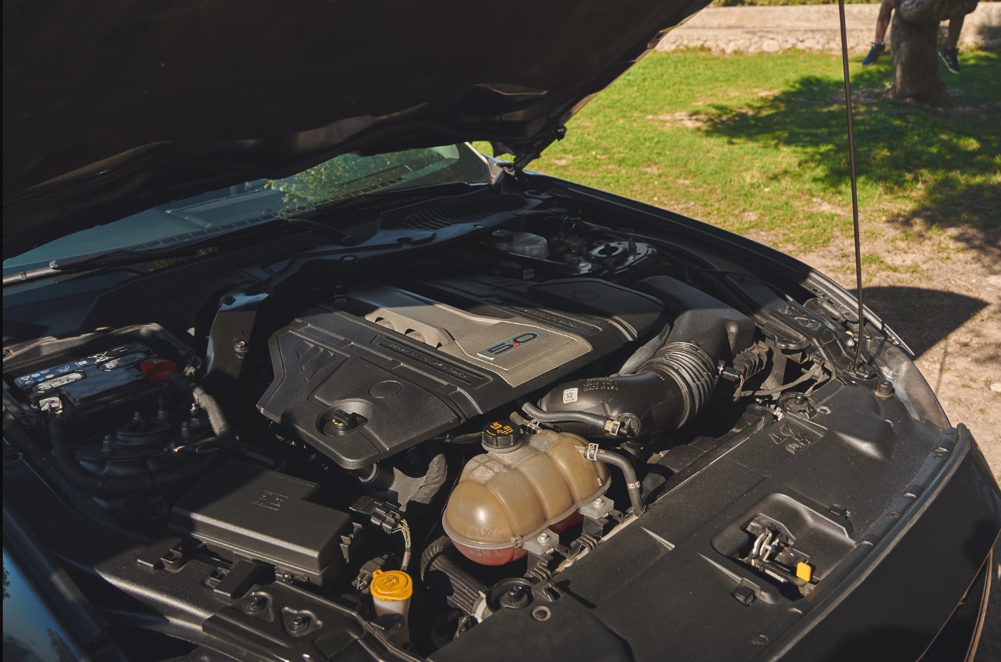 2019 Ford Mustang GT