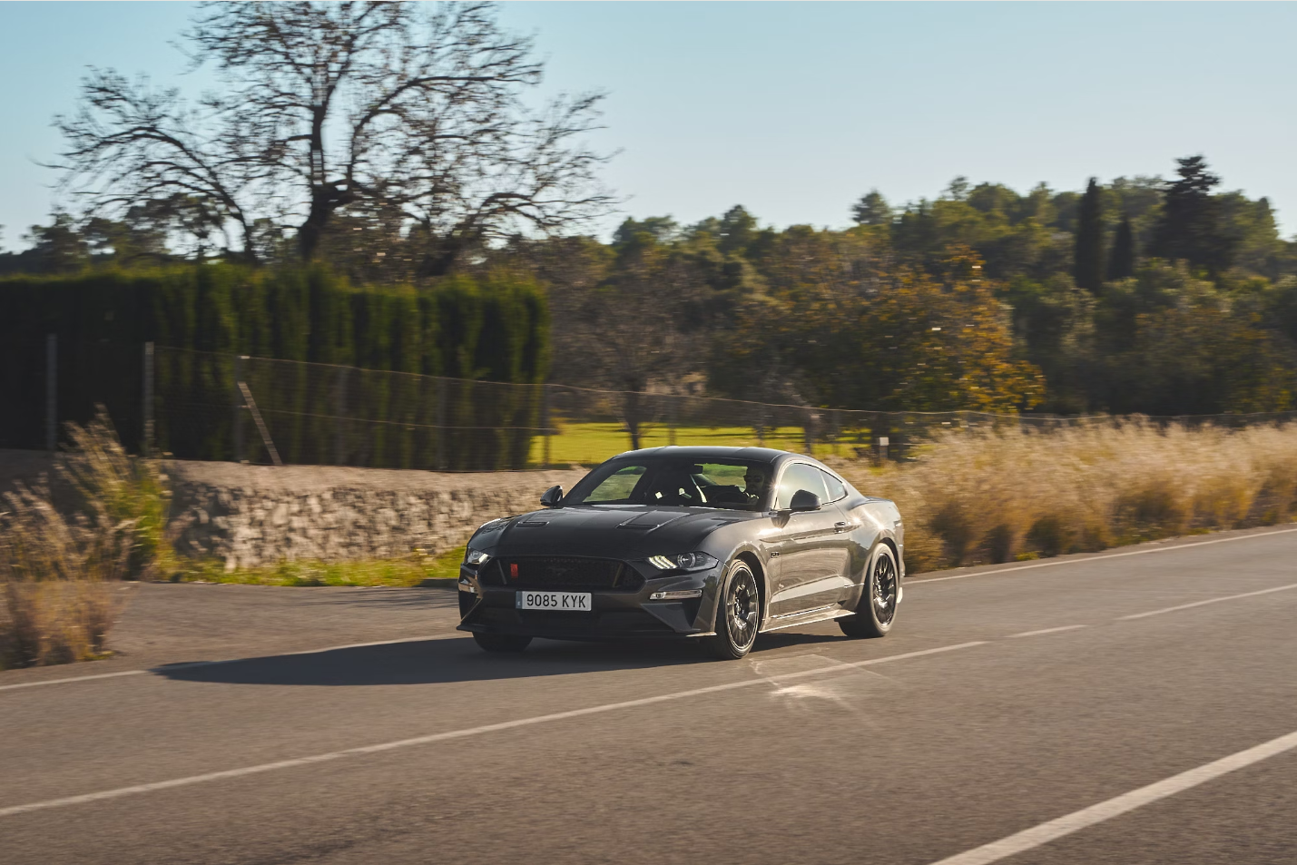 2019 Ford Mustang GT