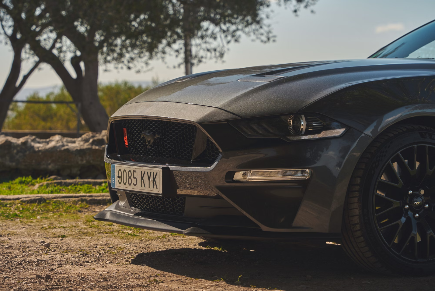 2019 Ford Mustang GT