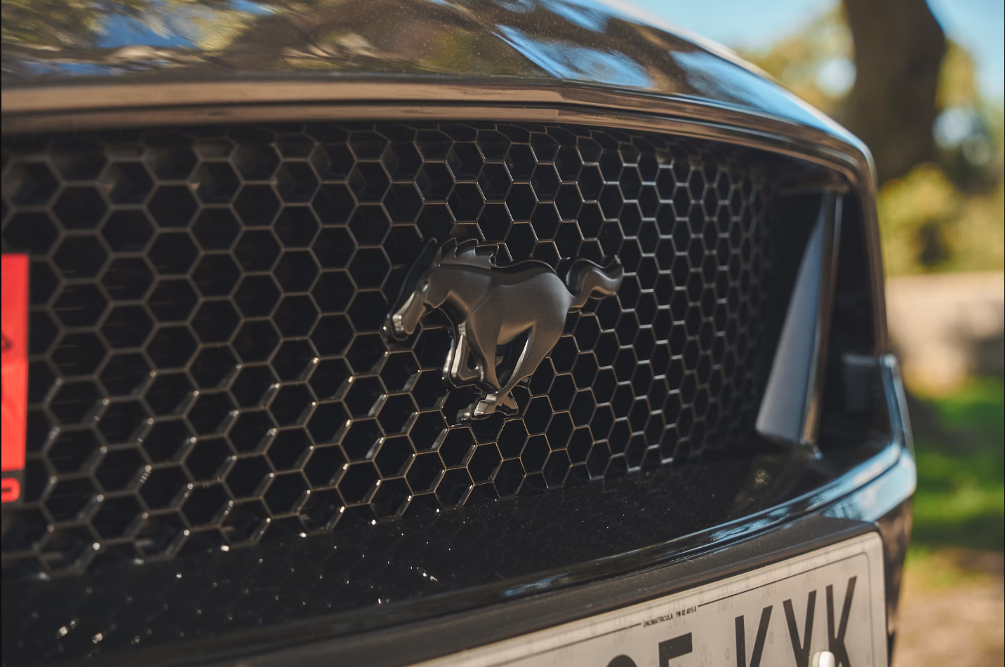 2019 Ford Mustang GT