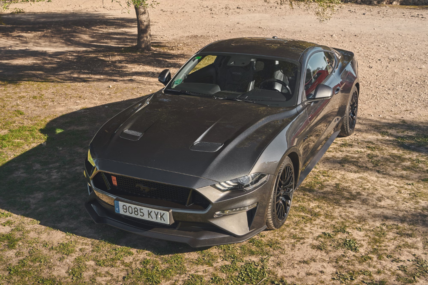 2019 Ford Mustang GT