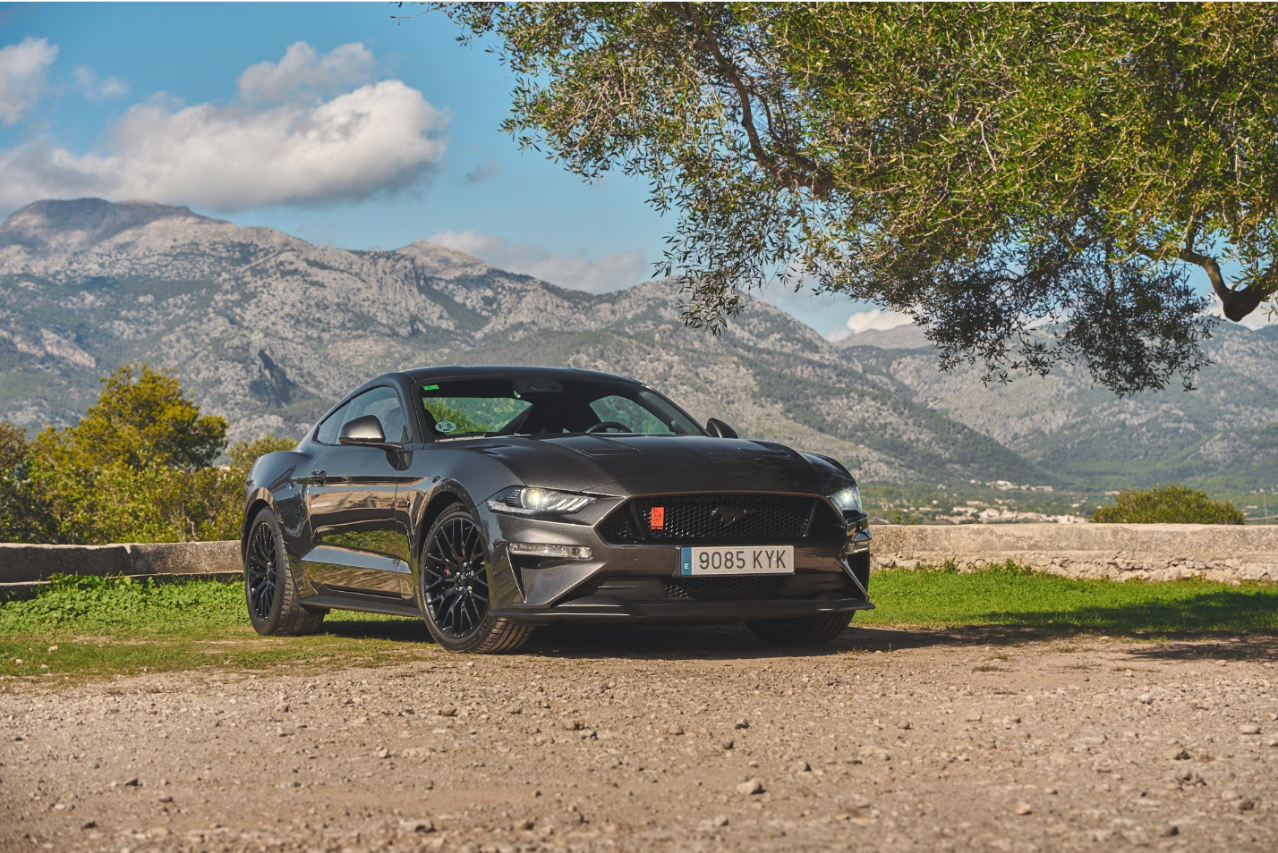 2019 Ford Mustang GT