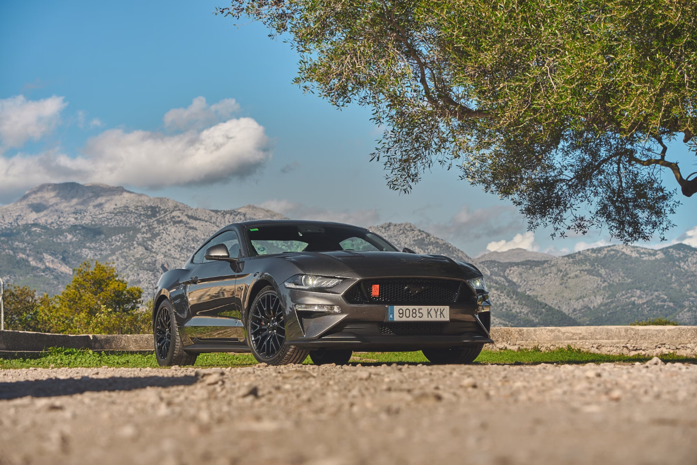 2019 Ford Mustang GT