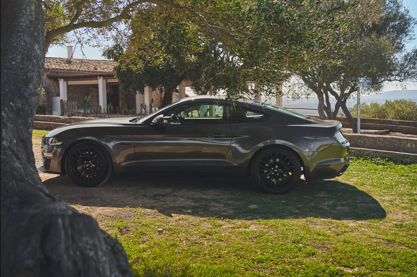 2019 Ford Mustang GT